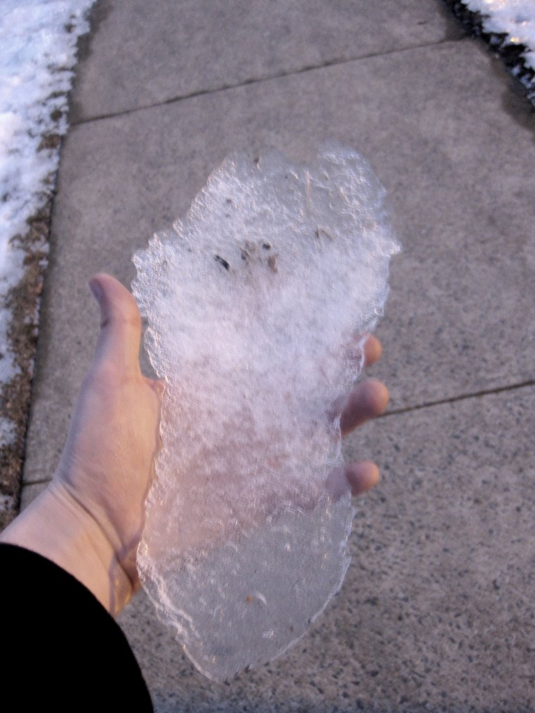 Icy Footprint; Rosslyn, VA; January 29 2009 by KTBowman