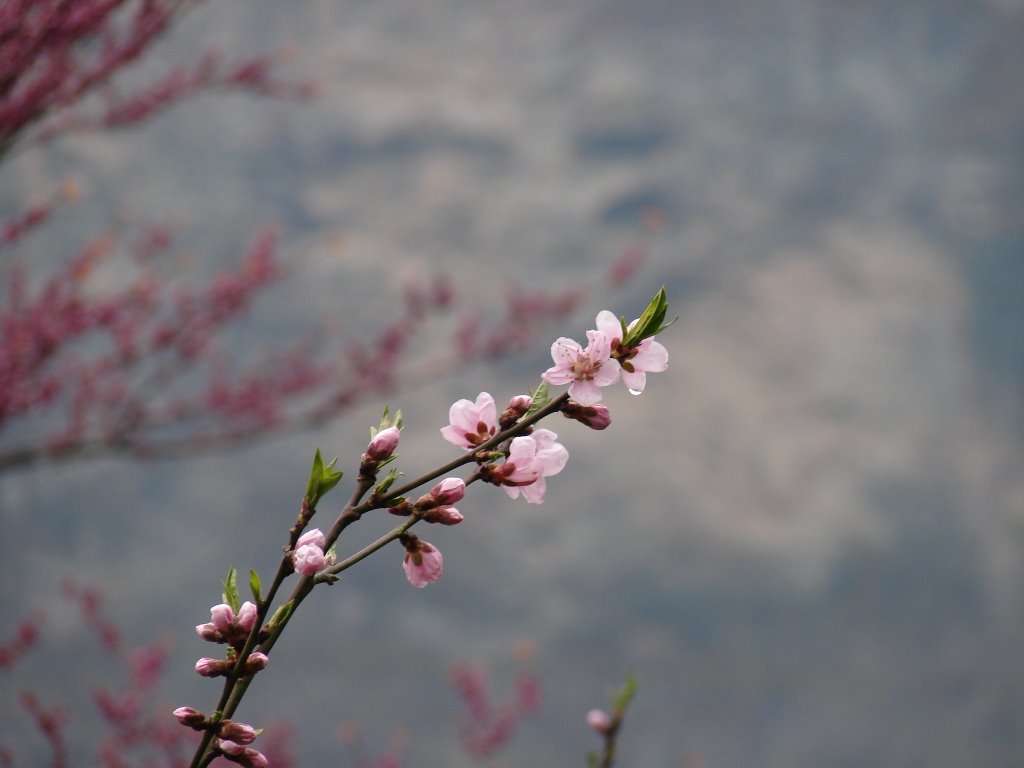 Danjiangkou, Shiyan, Hubei, China by congnt