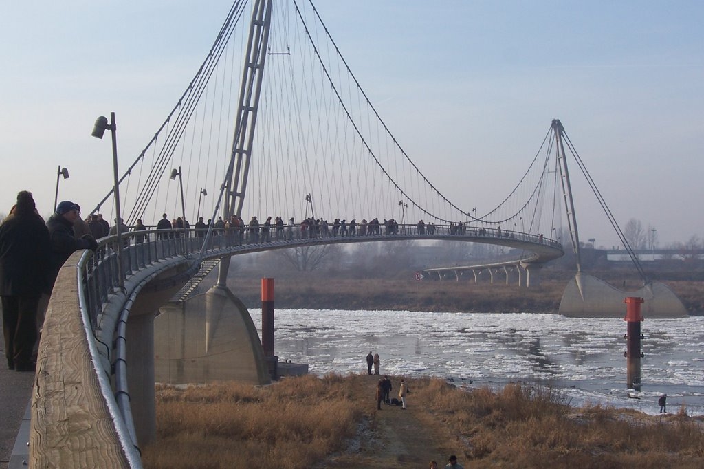 Herrenkrug Bridge by Bertschick