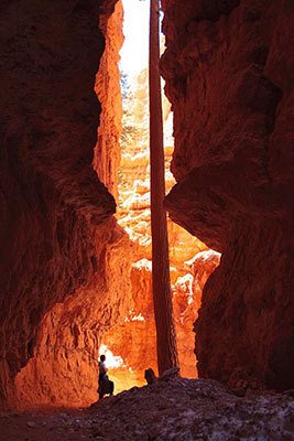 Wall Street - Bryce Canyon by Richard Crookston