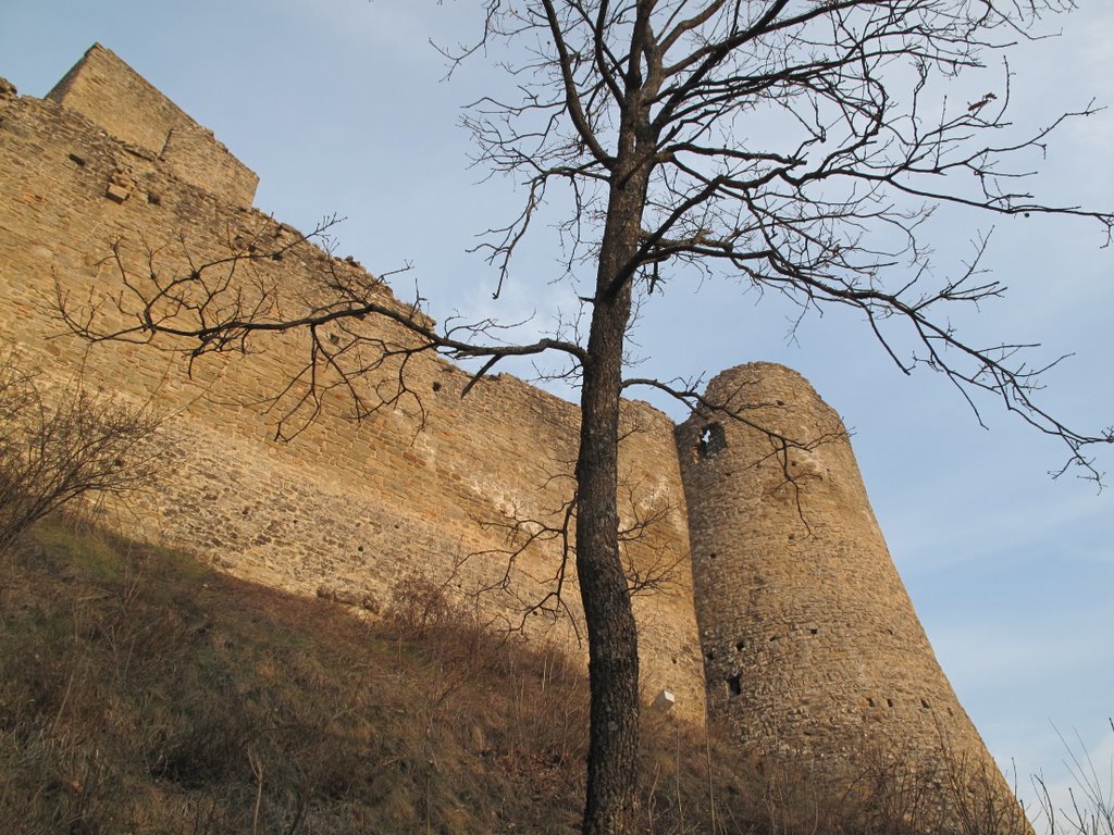 Carpineti Castle by luciano mantovani