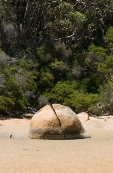 Wilsons Promontory National Park by Timothee Maret