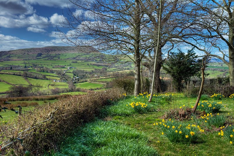 Cottage Garden by White castle by Andrew Roland