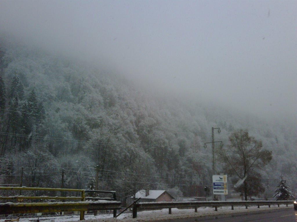 Sinaia by gheorghef