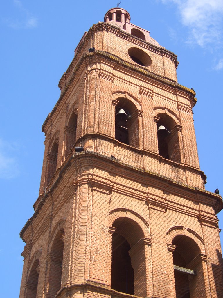 Catedral de Santa Cruz (2) by hemogk