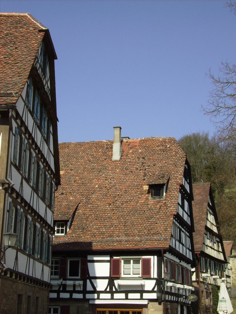 Kloster Maulbronn Dachlandschaft by Metzner