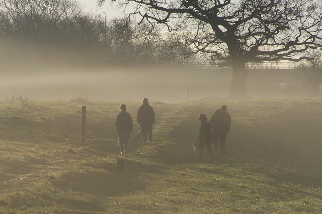 Mist in coedbach park by brian lloyd