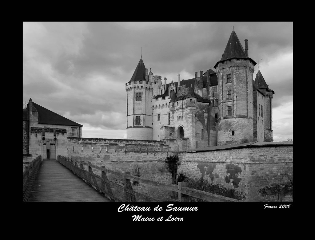 Chateau Saumur by jose2007