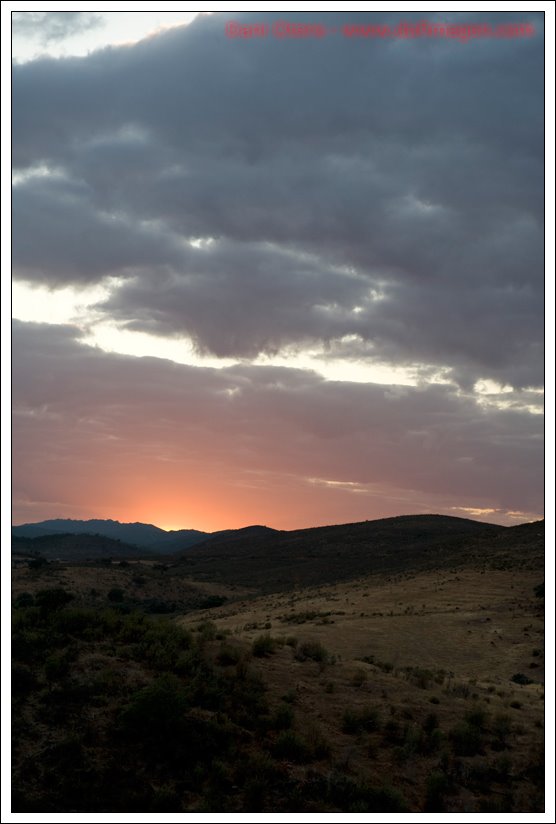 Parque Nacional de Monfragüe, Extremadura, Cáceres by dofimagen