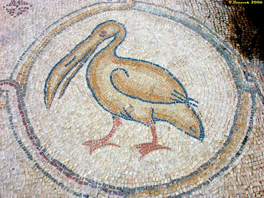 Mosaic floor, Villa of Birds, Caesarea (11-FEB-06) by Ilya Borovok