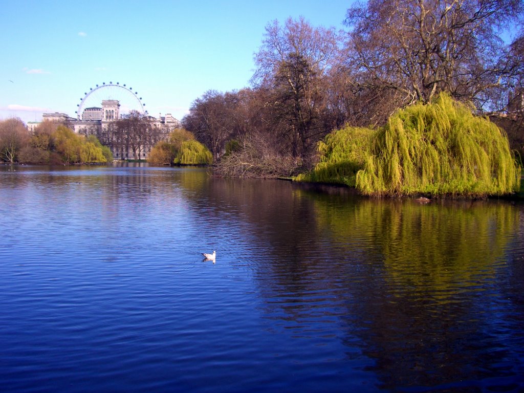 La laguna de St. James y al fondo la Noria de Londres by DeTejeira