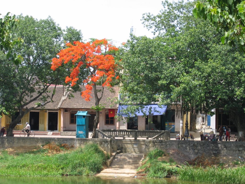 Colorful tree by river, Hue by Per Lindberg