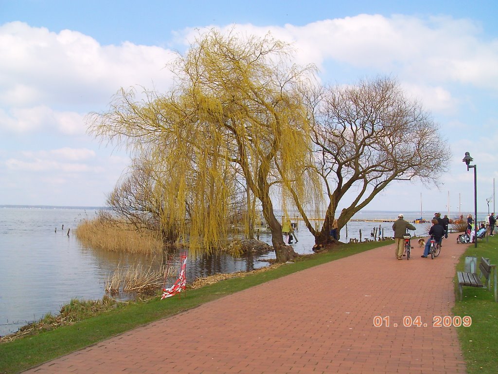 Steinhude am Meer by Supiisapristi