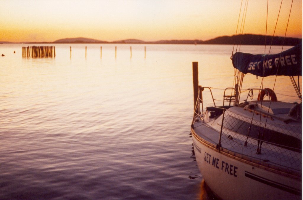 Chico Manoel Island, near Porto Alegre by Cássio Ostermayer