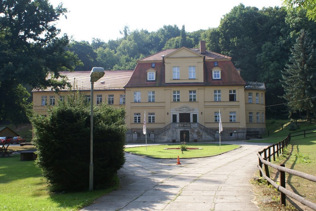 Schloss Harkerode (MSH) by Altmeister