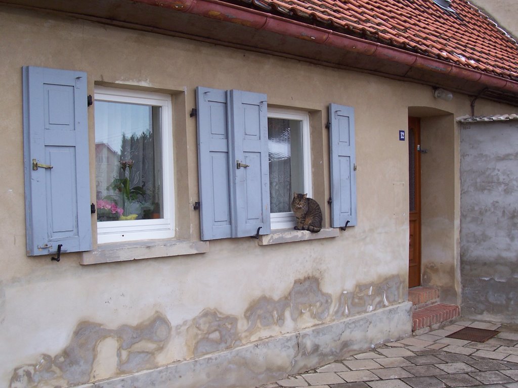 House in Gatersleben by Bertschick