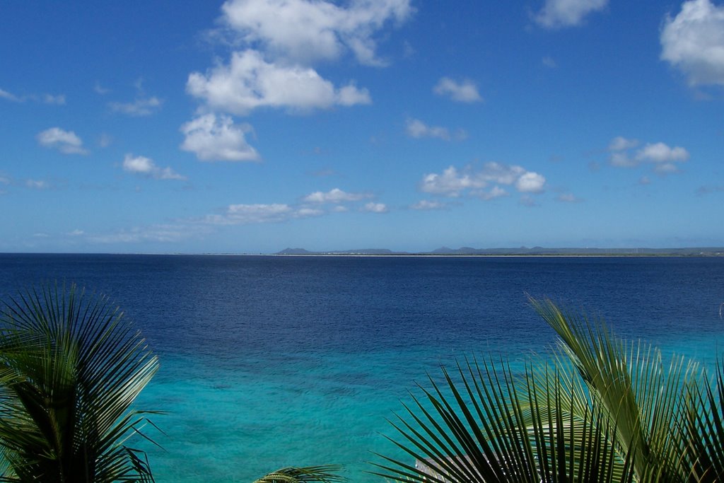 Bonaire, Netherlands Antilles by vanrcwisner