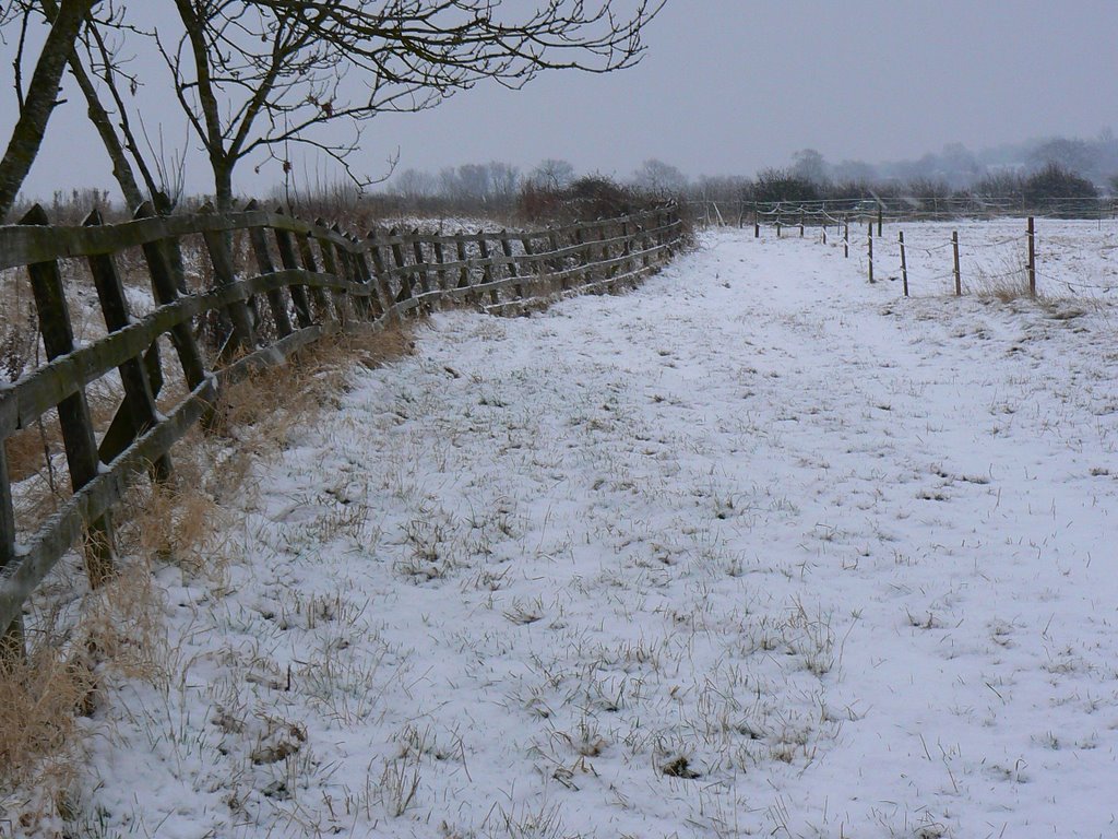 The edge of a field near Pack Hill, Wanborough (E) by Brian B16