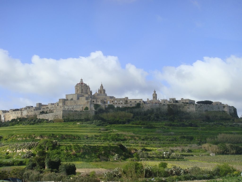 Mdina the silent city...(Old Capital of Malta)... by Joseph D'Amato