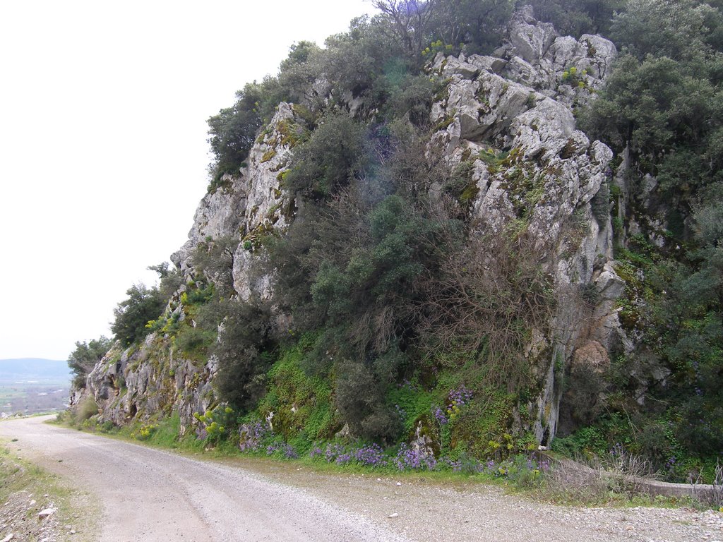 NATURE'S WALL PAINTING AT MOUNT PARNASSOS 1/2 by Archimedes Nikolakis