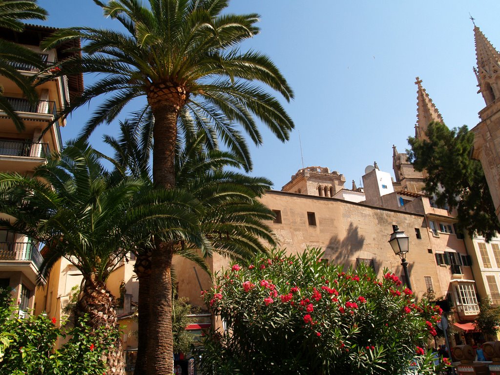 Palma near Church by Marcel Gottwald, Rhe…