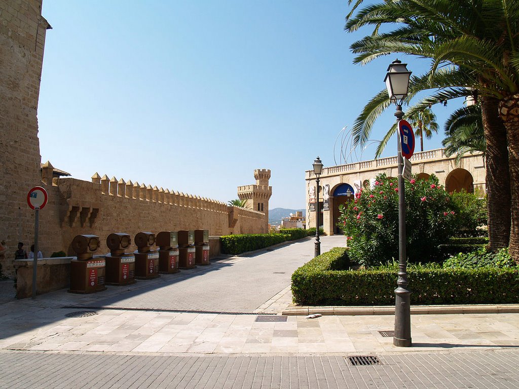 Palma near Church by Marcel Gottwald, Rhe…