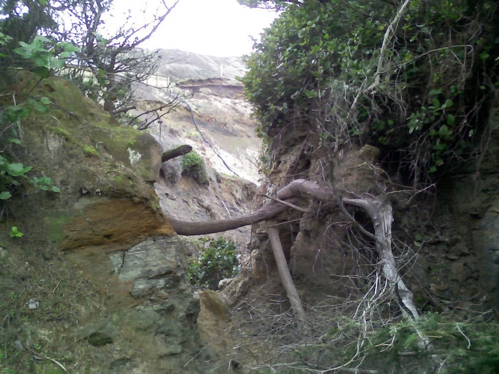 Collapsing Land Shelf #3 by matterdaddy