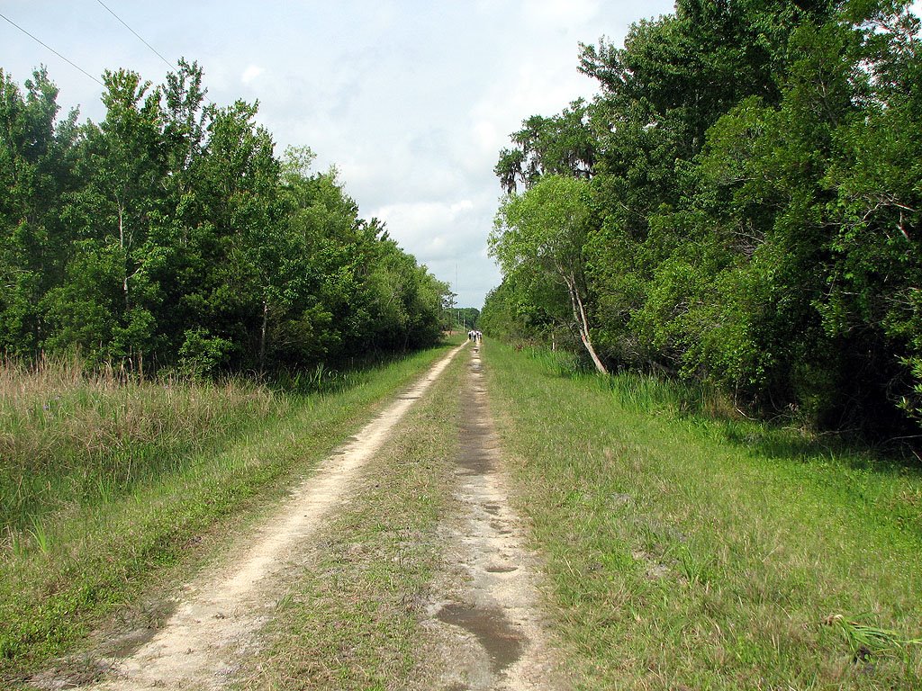 Long way back to parking lot by Tom Choma