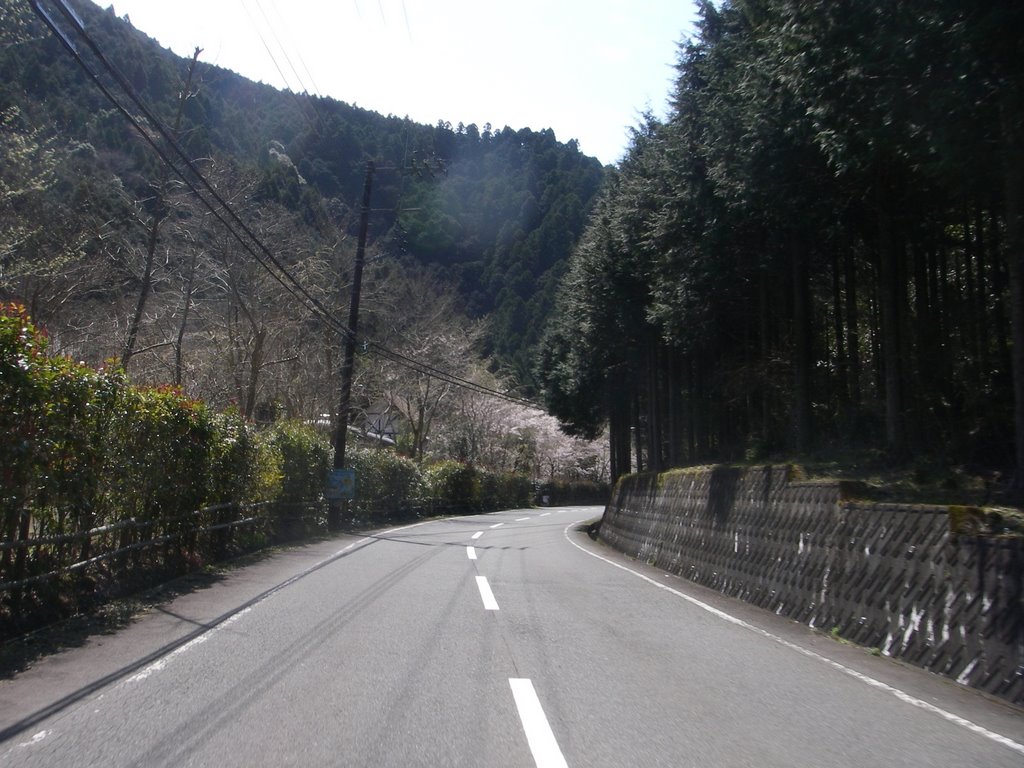 県道801号 ターキーズハウス前 by 浅野ます道