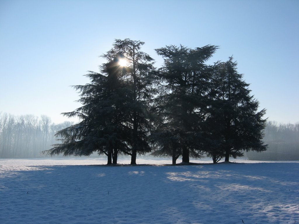 Nevicata del 6 febbraio 2009 by Mario Silvio Beretta