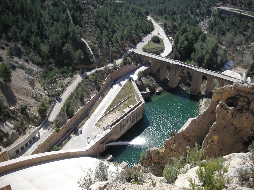 Presa de contreras by jacarrata