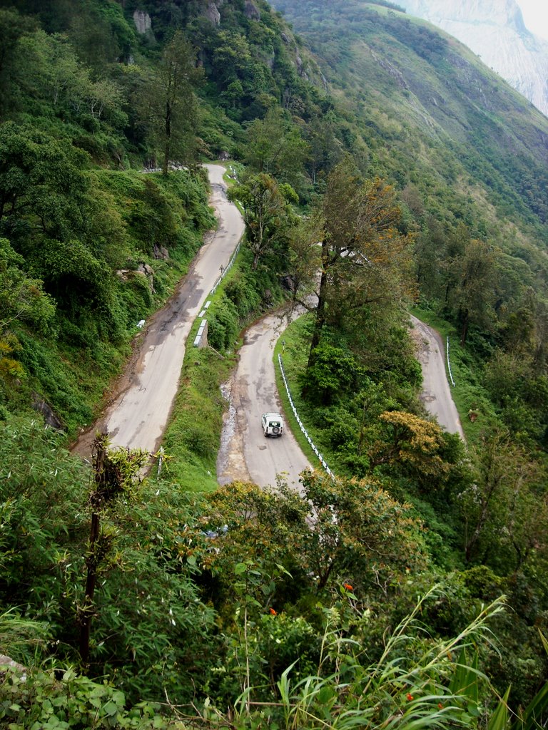 Munnar by amarvartak