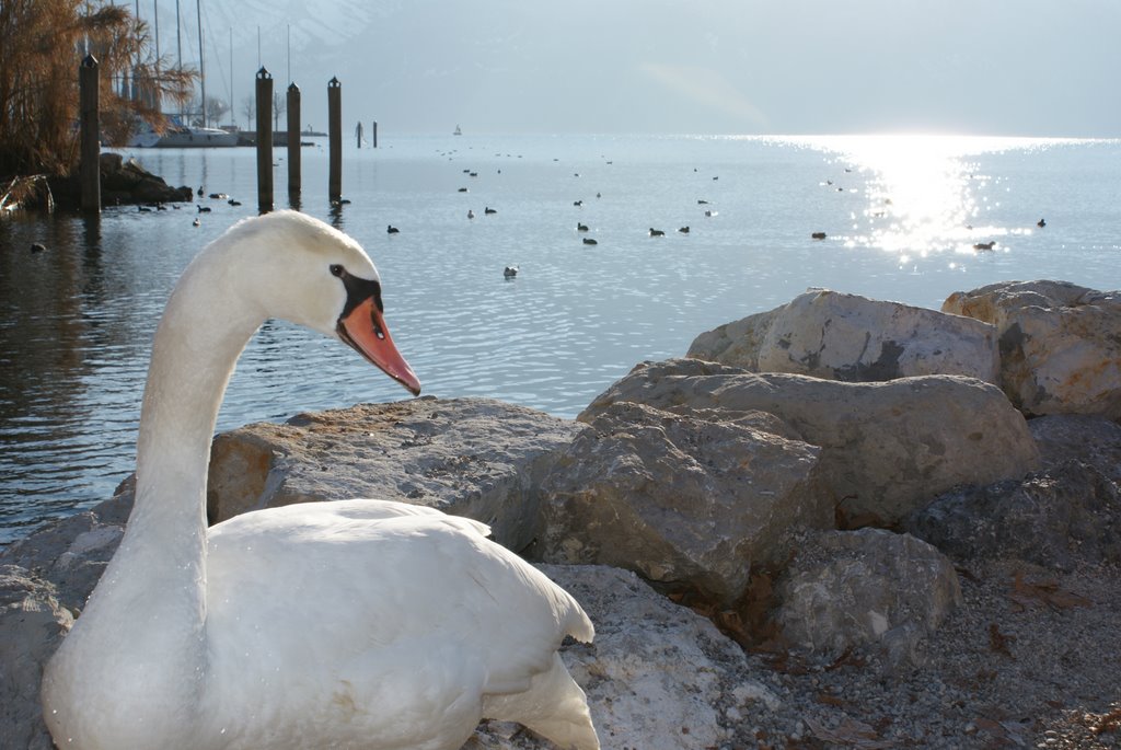 38066 Riva del Garda, Province of Trento, Italy by MARCO C.