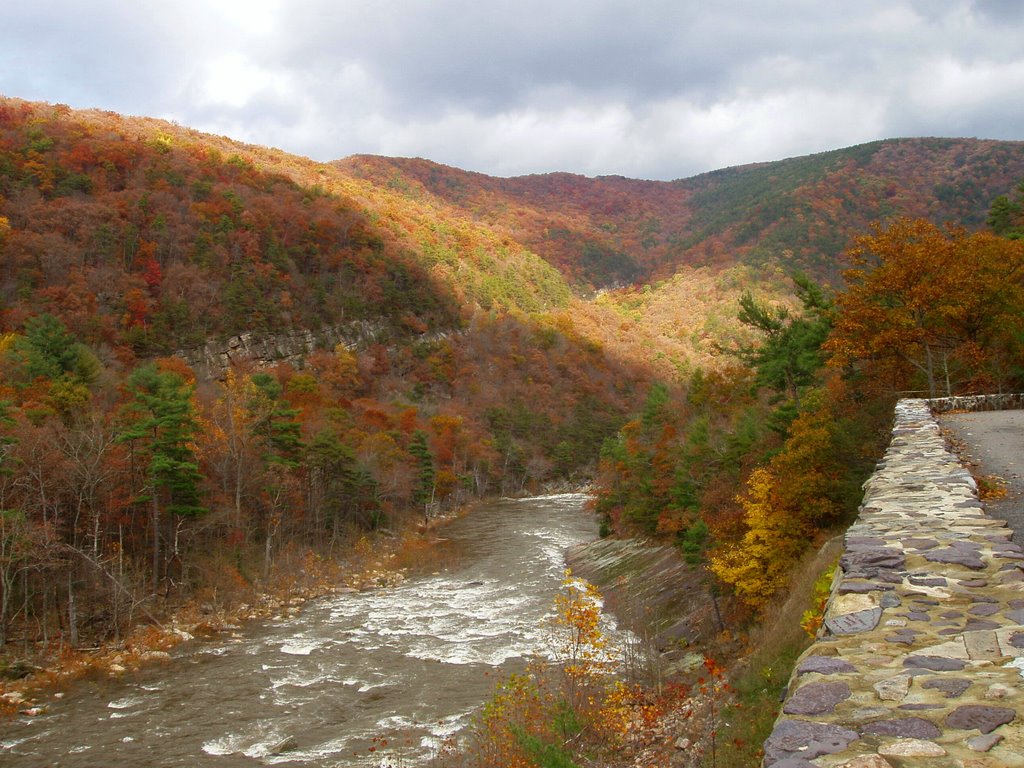 Fall in Goshen Pass Rockbridge County VA by EricBartsch