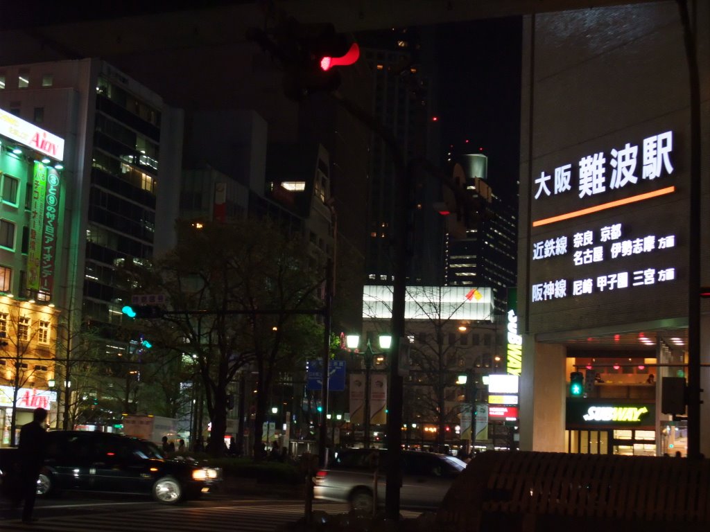 阪神なんば線・近鉄大阪難波駅-夜景- by 音和