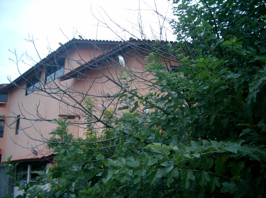 Barrio de pescadores de garopaba by yoryet