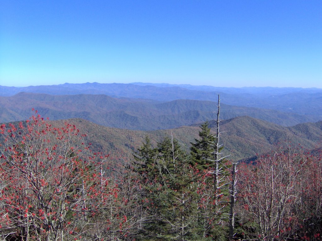 Fall view From Clingman's Dome by Charles Craig