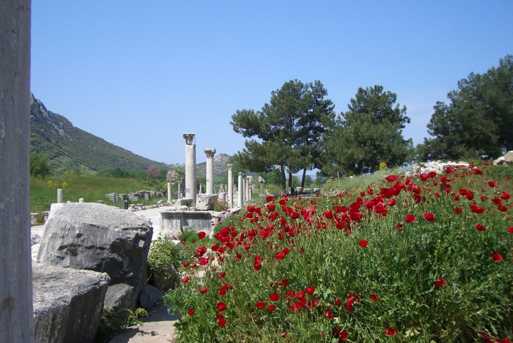 Turkey_antique_city_ephesus_2007-04-19 by chrisli