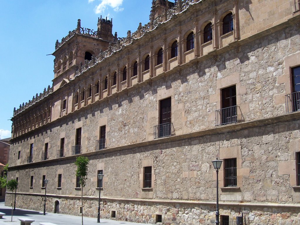 Palacio de Monterrey by chusypa