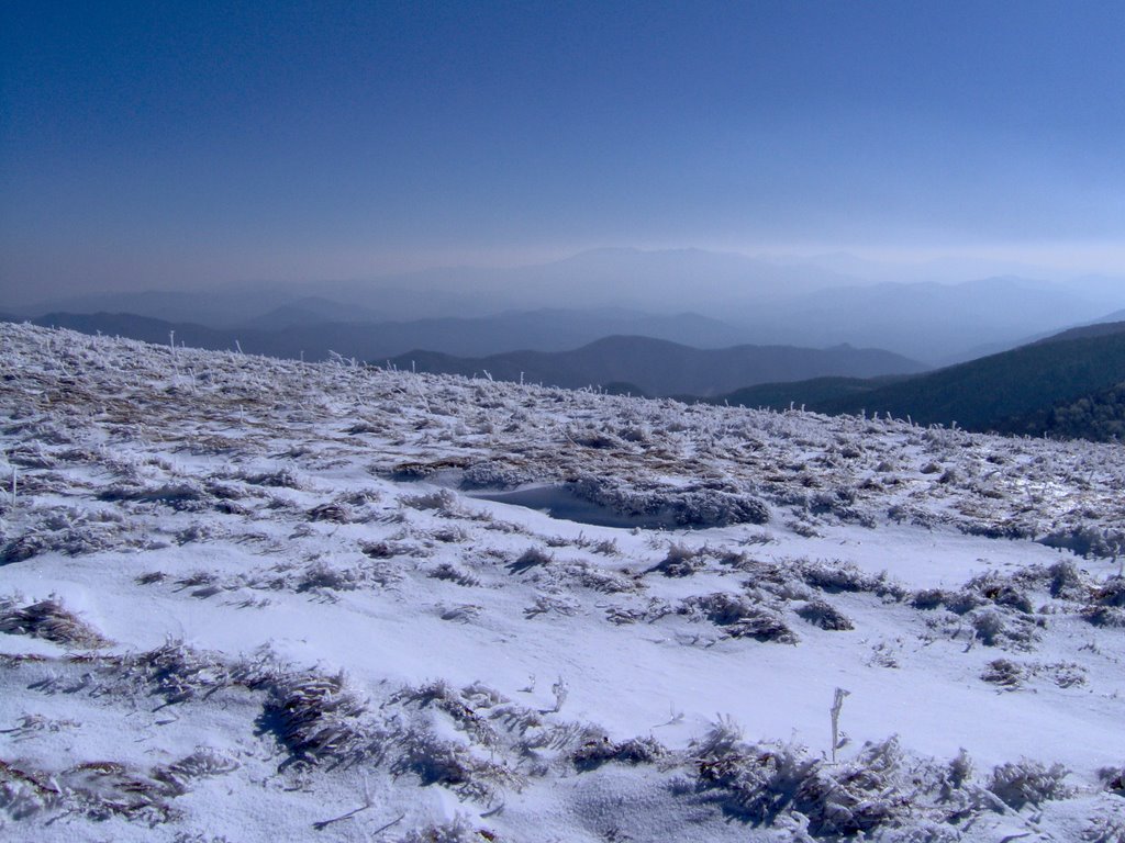 Roan Mountain Winter View by Charles Craig