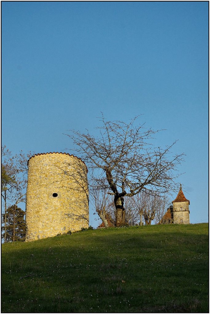 CAMPAGNAC-LES-QUERCY [24] : Pigeonniers au Rey. by Michel Chanaud