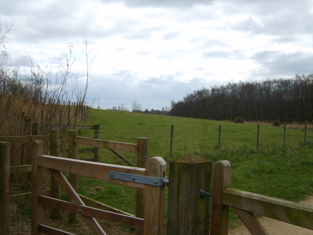 Witton Mill meadow by John Mulder