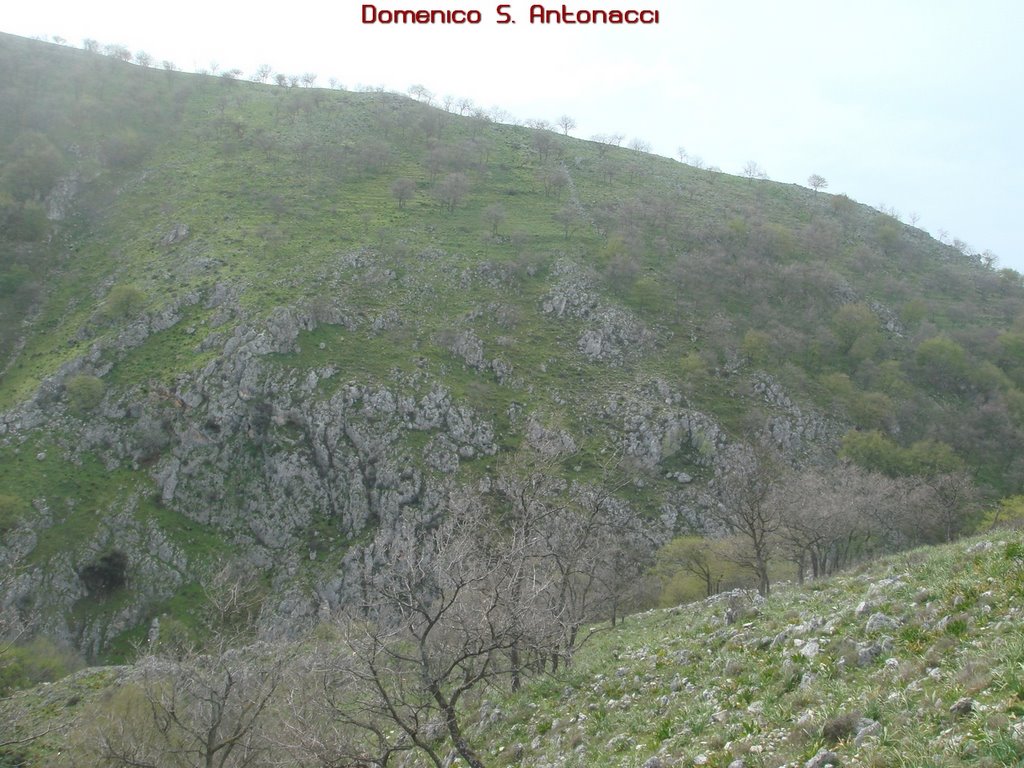 Chiancata dell'Acero,Carpino by Domenico Sergio Anto…