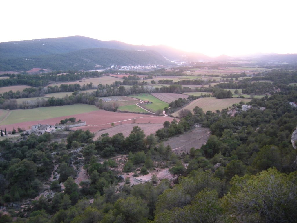 Vall de Carme des de la carena de les Garrigues by joan miquel