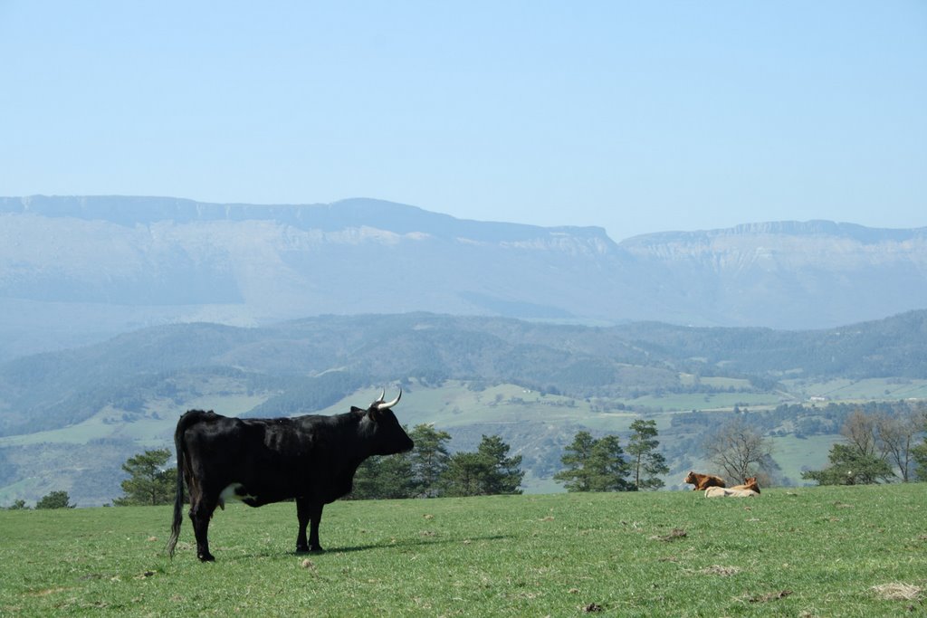 Sierra Salvada y toro by wyup