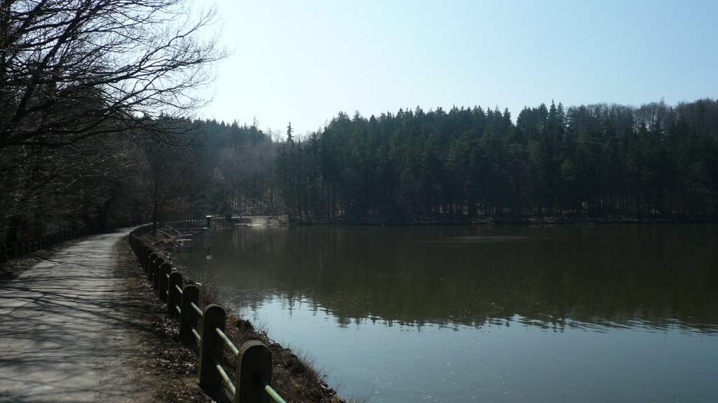 Jevany,Vyžlovský rybník,pond by Makovec1234