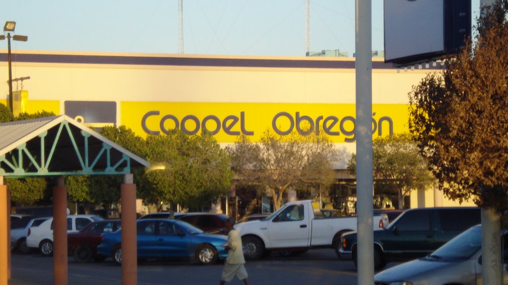 Coppel by angelllanes