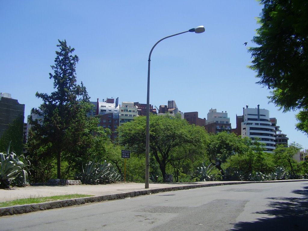 Parque Sarmiento, vista hacia Av. Poeta Lugones. by Gustavo Alterio