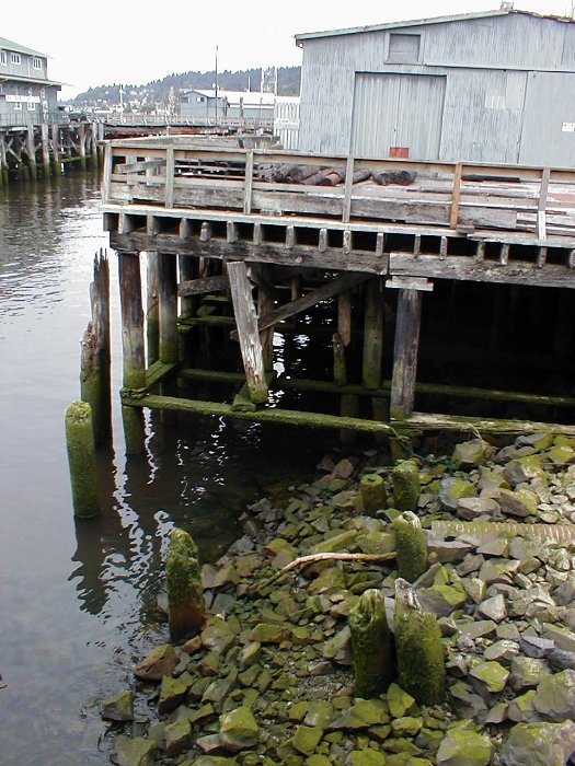 Old sheds, Astoria, July 17, 2001 by Sheryl Todd (tapirga…