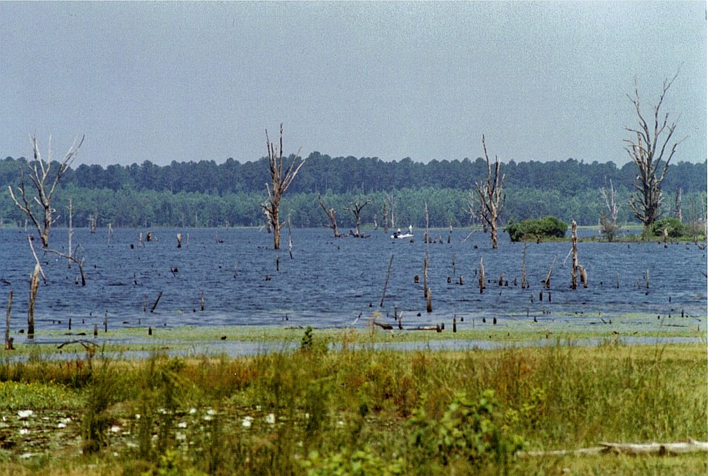 Lake Monticello, near Monticello, AR by shawnb1